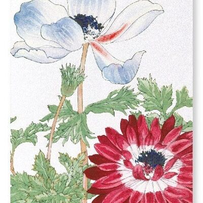 BLUE AND RED ANEMONE Art Print