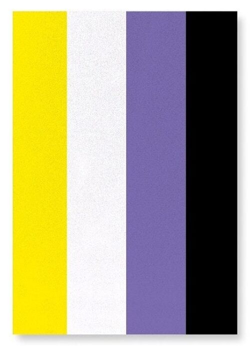 NON BINARY PRIDE FLAG Art Print