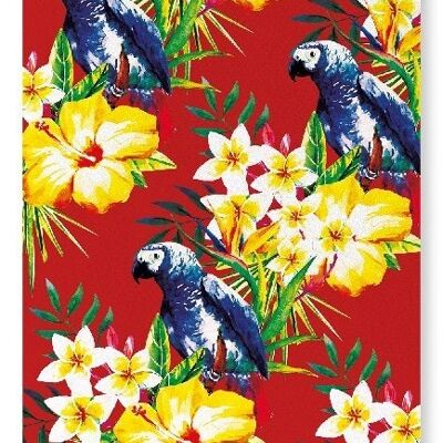 PARROT MESSENGER Kunstdruck