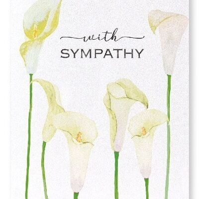 CALLA LILY OF SYMPATHY Art Print