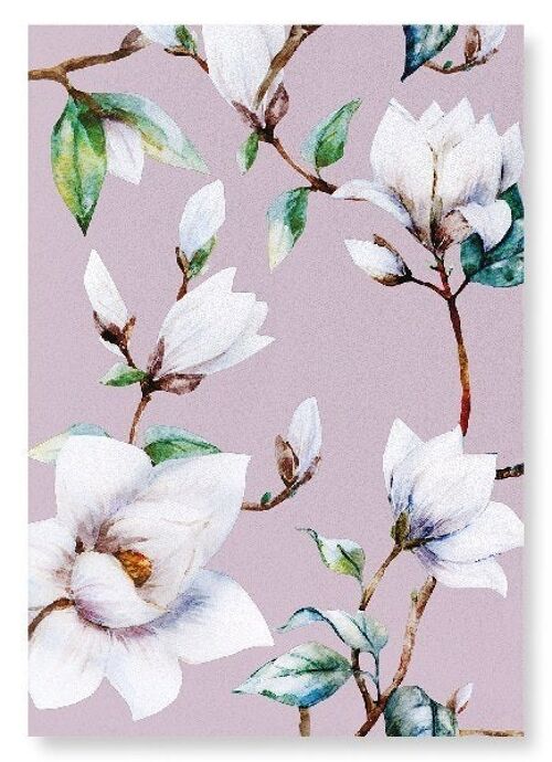 ELEGANT MAGNOLIA Art Print