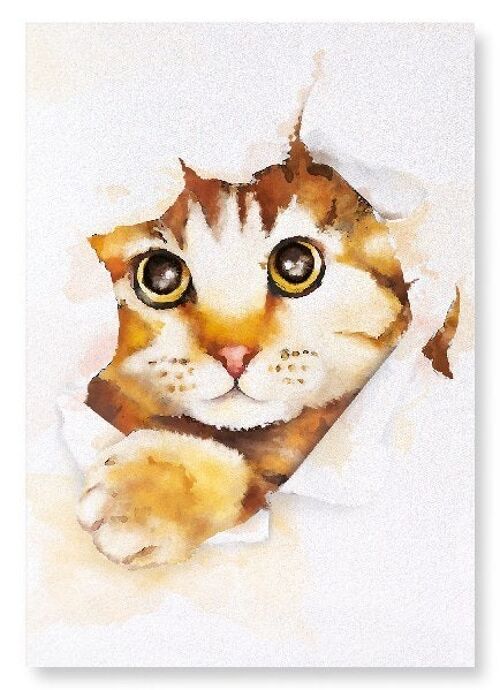HELLO KITTY CAT Art Print