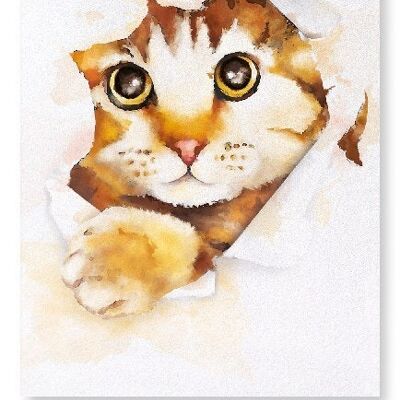 HALLO KITTY CAT Kunstdruck