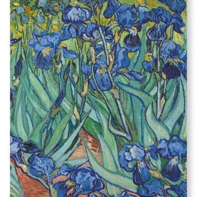 Schwertlilien von Van Gogh Kunstdruck