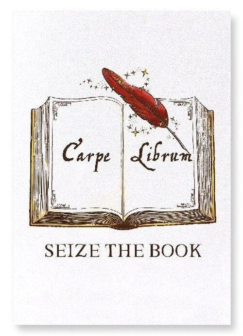 SEIZE THE BOOK Art Print