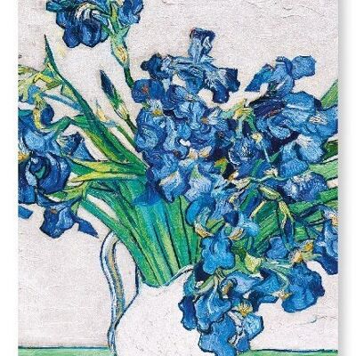 Schwertlilien 1890 von Van Gogh Kunstdruck