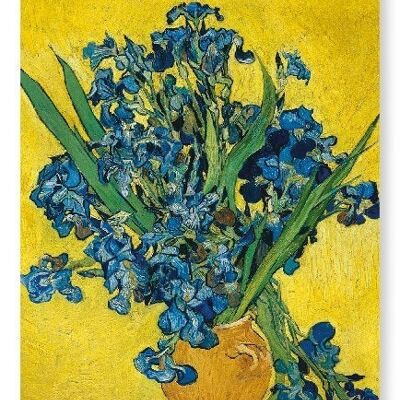 VASO CON IRIS DI VAN GOGH Stampa artistica