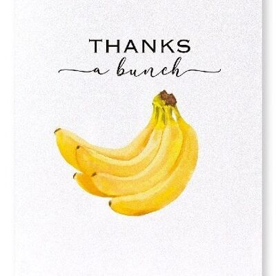 THANKS A BANANA BUNCH Art Print