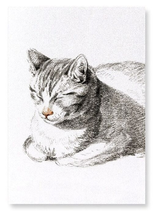 LYING CAT DIAGONALLY 1808  Art Print