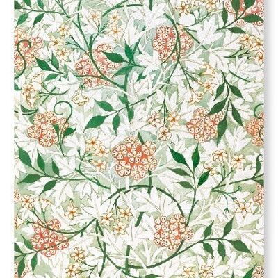 JASMINE MORRIS WALLPAPER Stampa artistica