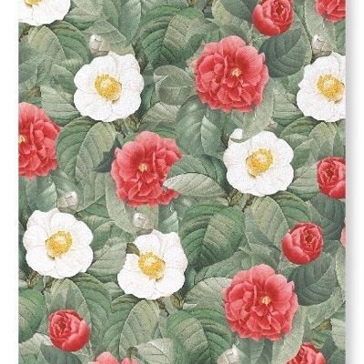 CAMELLIA JAPONICA Art Print