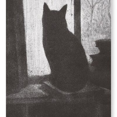 GATTO SU UN LIBRO Stampa artistica