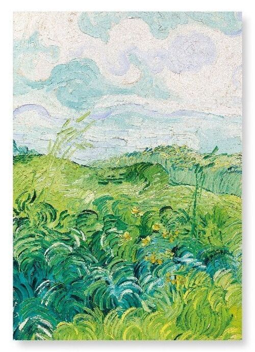 GREEN WHEAT FIELDS AUVERS 1890  Art Print