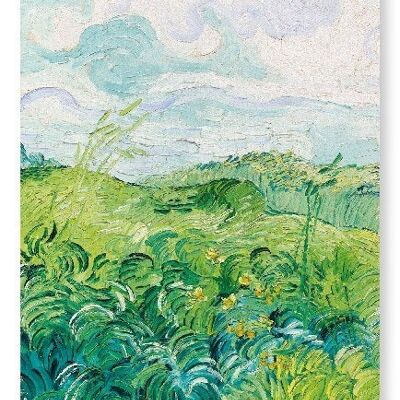 GREEN WHEAT FIELDS AUVERS 1890  Art Print