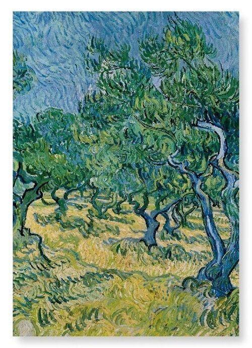 OLIVE GROVE 1889  Art Print