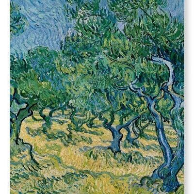 OLIVE GROVE 1889  Art Print