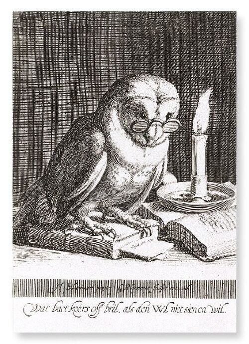 WISE OWL 1625  Art Print