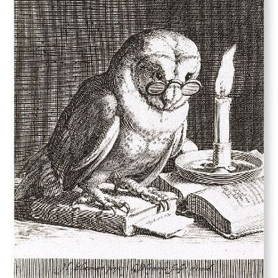WISE OWL 1625  Art Print