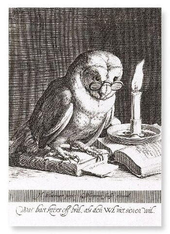 WISE OWL 1625 Impression artistique 1