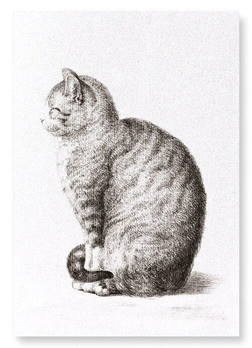 SITTING CAT 1815  Art Print