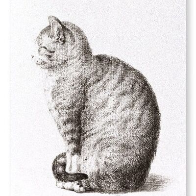 SITTING CAT 1815  Art Print