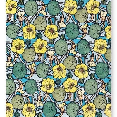 GELBE MORGENBLUME 1897 Kunstdruck