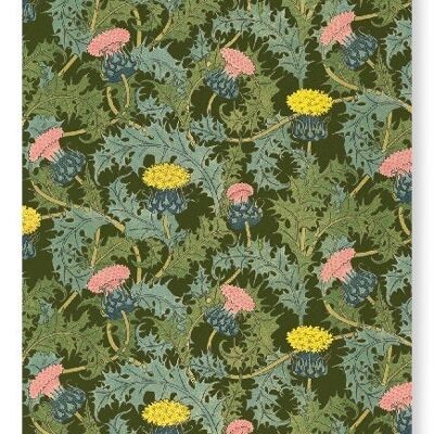 CARDO 1897 Stampa artistica