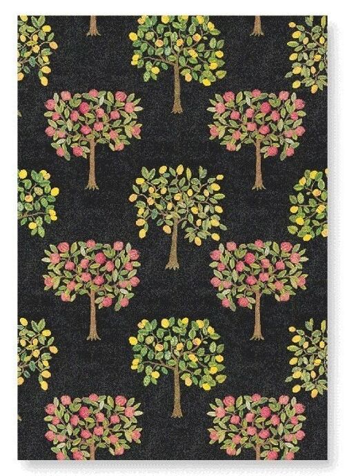 EMBROIDERY OF POMEGRANATE AND LEMON TREES ON BLACK 16THC  2xPrints