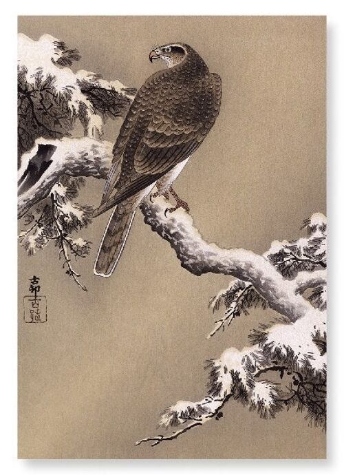 EAGLE AND PINE TREE Japanese Art Print