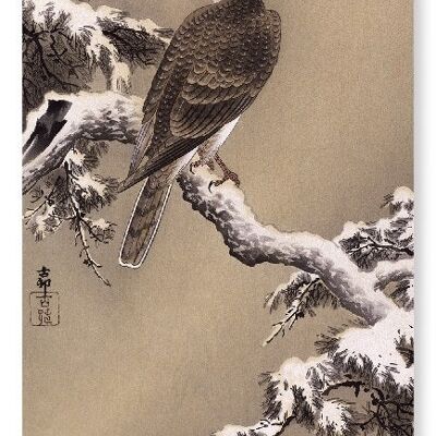 EAGLE AND PINE TREE Japanese Art Print