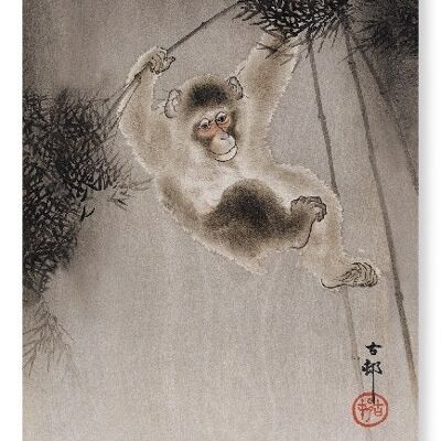MONKEY AND BAMBOO Japanese Art Print