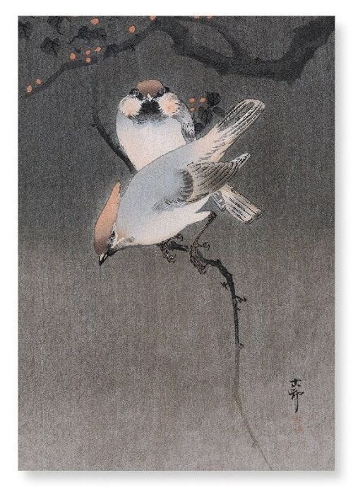 WAXWING BIRDS Japanese Art Print