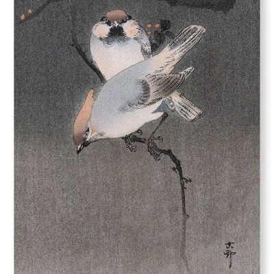 WAXWING BIRDS Japanese Art Print