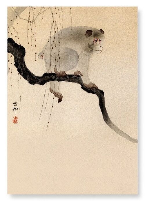 MONKEY IN A TREE Japanese Art Print