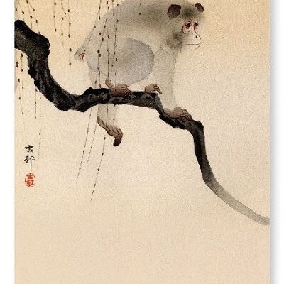 MONKEY IN A TREE Japanese Art Print