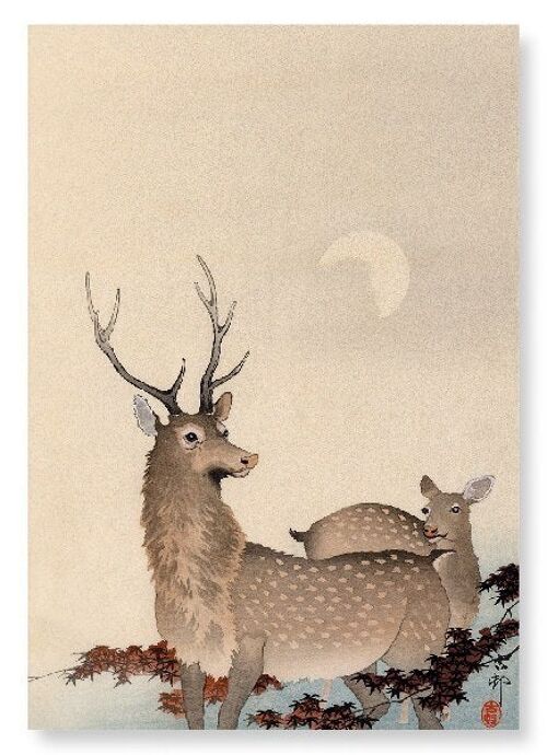 TWO DEER AND MAPLE Japanese Art Print