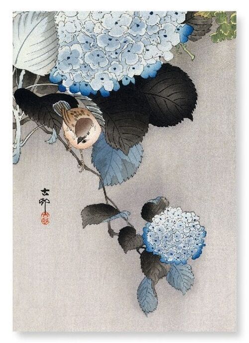 SPARROW AND HORTENSIA Japanese Art Print