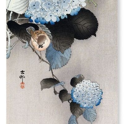 SPARROW ET HORTENSIA Impression artistique japonaise