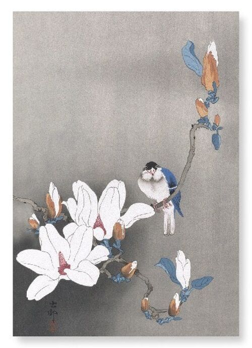 BIRD ON MAGNOLIA Japanese Art Print