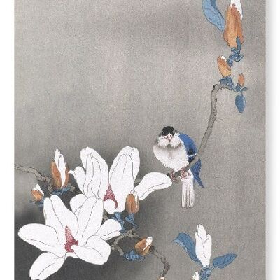 VOGEL AUF MAGNOLIA Japanischer Kunstdruck