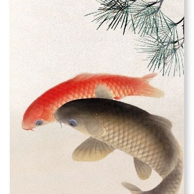 CARPS AND PINE Japanese Art Print