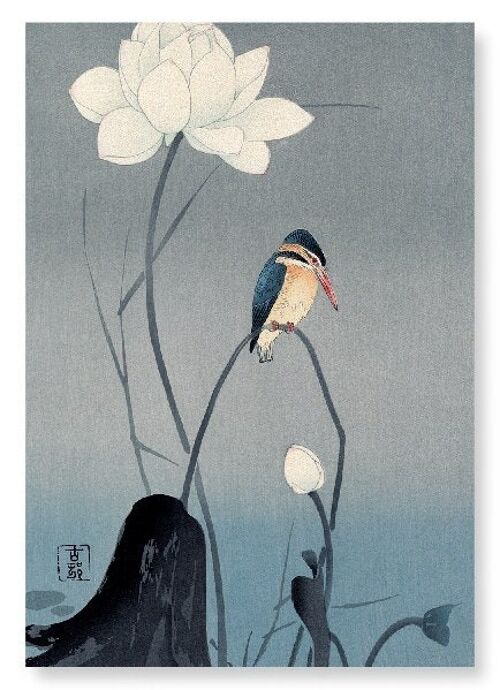 KINGFISHER AND LOTUS Japanese Art Print