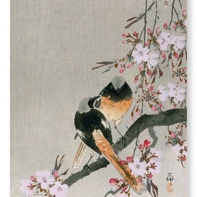 REDSTARTS AND CHERRY Japanese Art Print