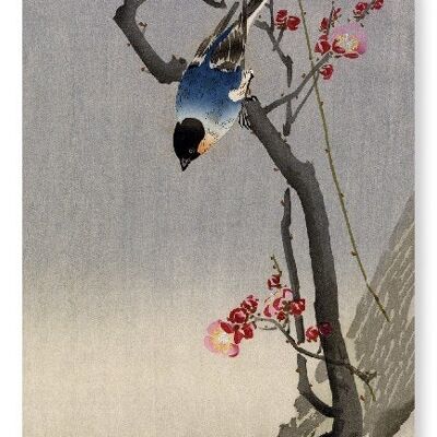 BULLFINCH BIRD Impression artistique japonaise