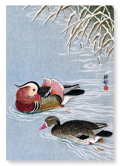 MANDARIN DUCK Japanese Art Print