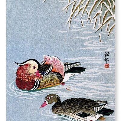 CANARD MANDARIN Impression artistique japonaise