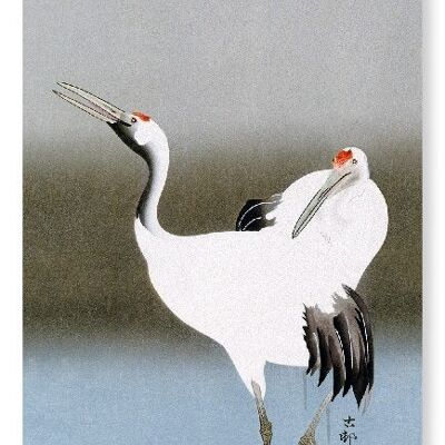 COUPLE OF CRANES Japanese Art Print