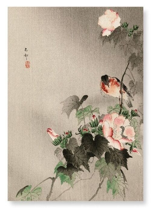STONECHAT BIRD Japanese Art Print