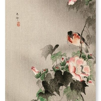 STONECHAT BIRD Japanese Art Print