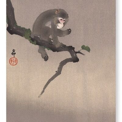 MONKEY AND PERSIMMON FRUIT Japanese Art Print